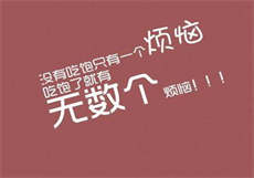 sw系列演员表
